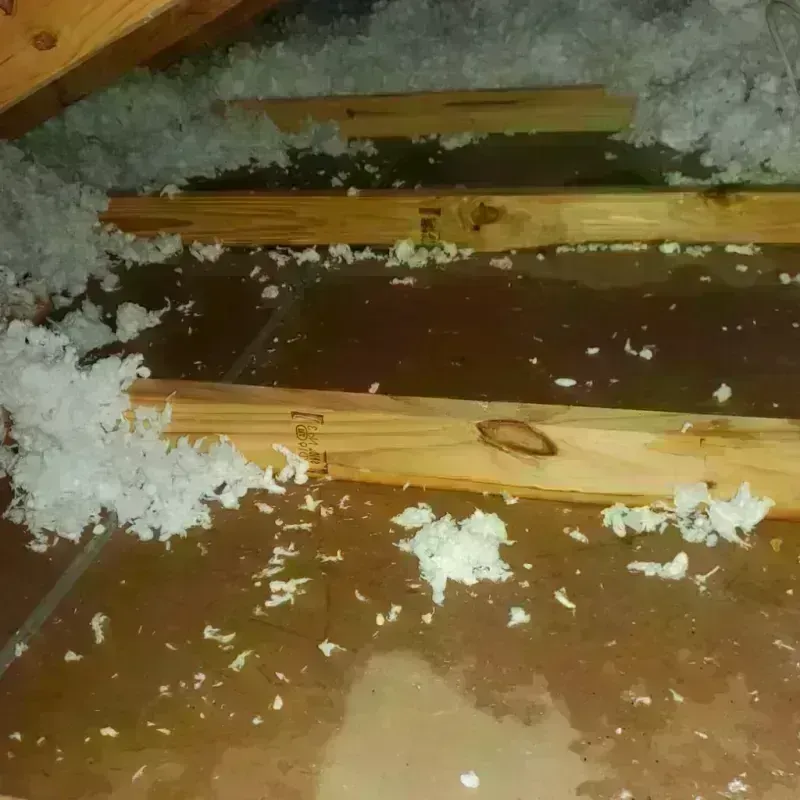 Attic Water Damage in Paris, AR