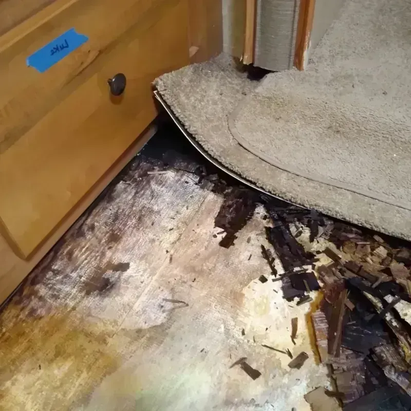 Wood Floor Water Damage in Paris, AR